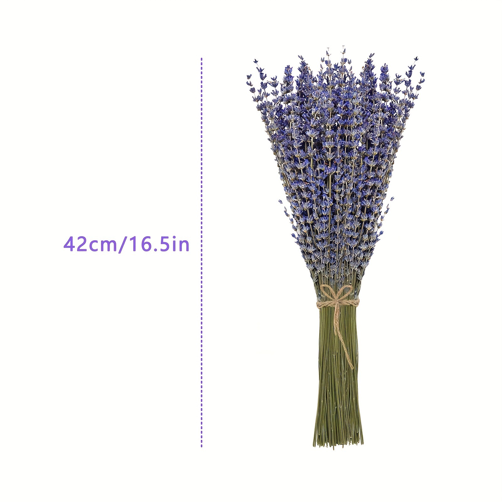200pcs/Bunch Lavender Dried Fl - огляд і ціна Dried Flower Bunch