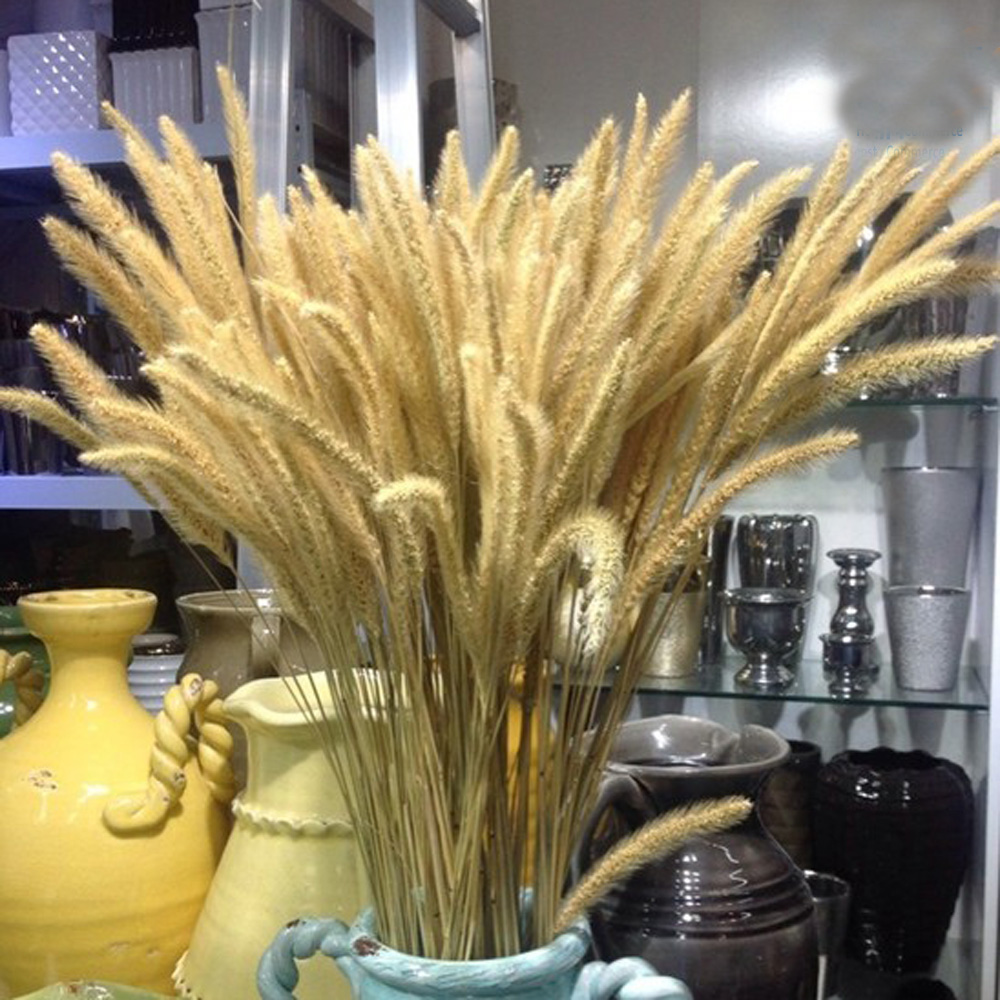 200pcs natural dried Lagurus o - огляд і ціна Dried Flower Bunch
