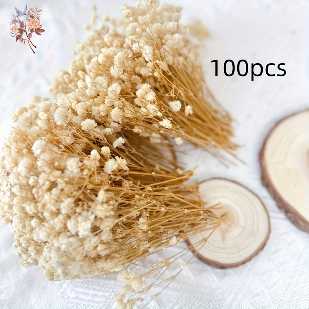 100pcs Mini Dried Baby's Breat - огляд і ціна Dried Flower Bunch