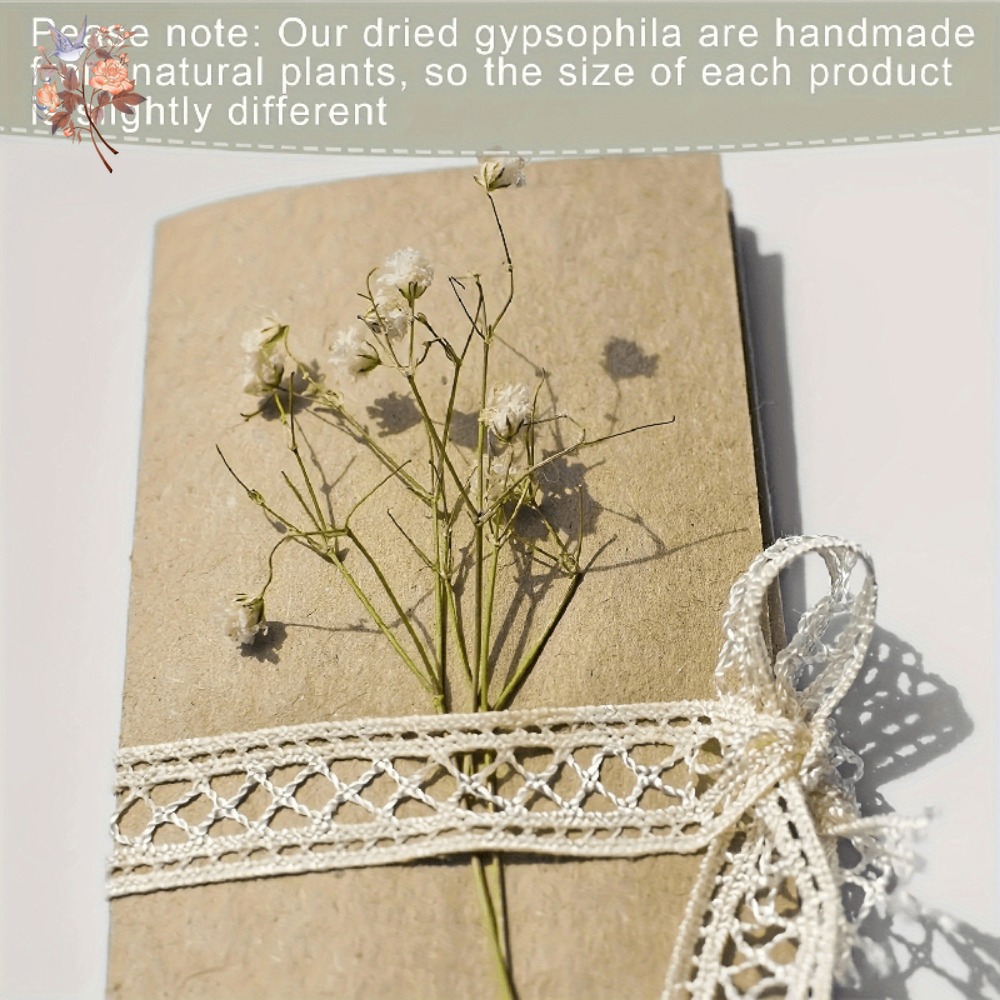 100pcs Mini Dried Baby's Breat - огляд і ціна Dried Flower Bunch